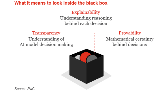Black Box AI